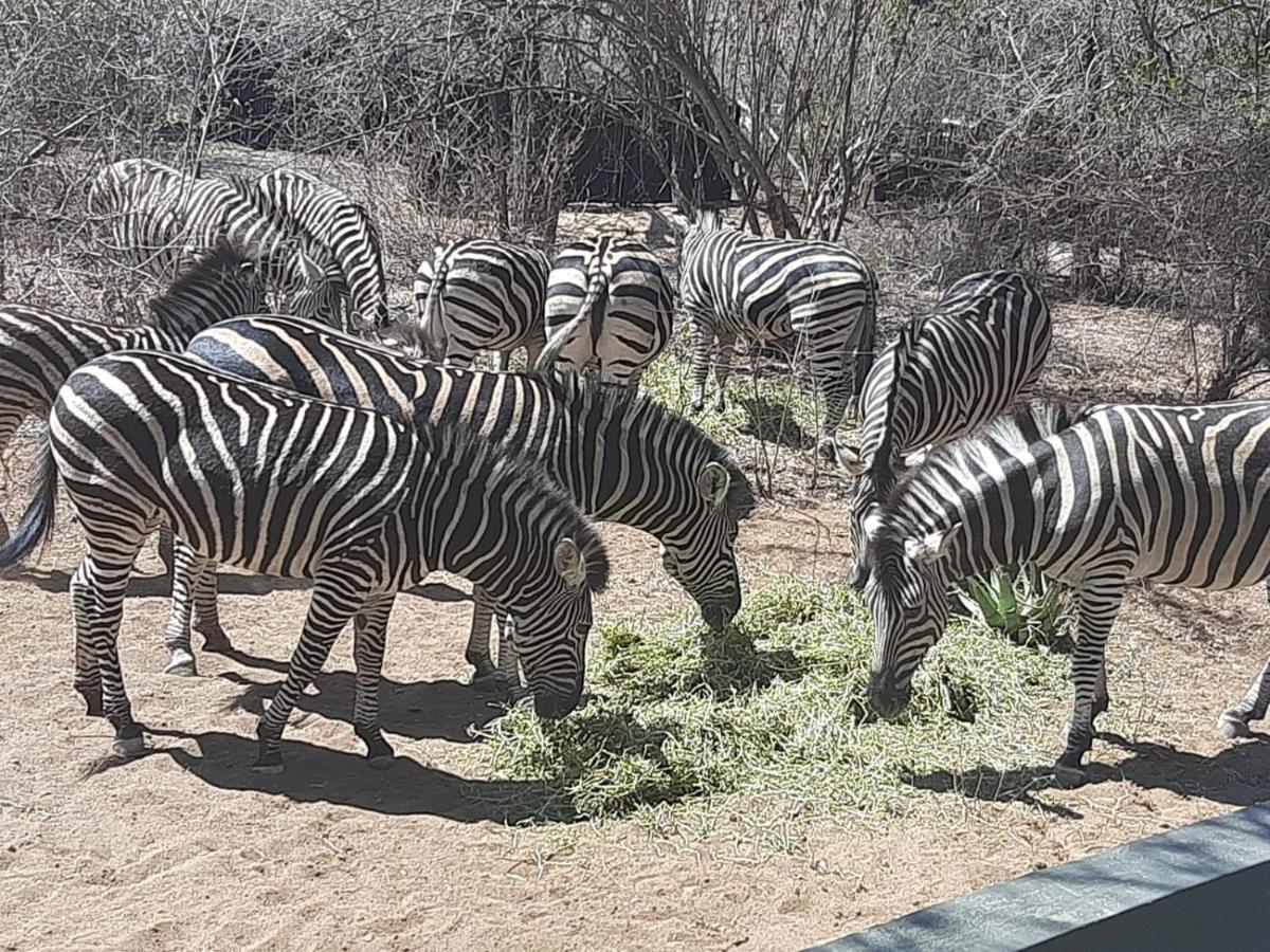 African Bush Escape マールロス・パーク エクステリア 写真